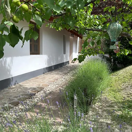 Mézes-kuckó Apartamento